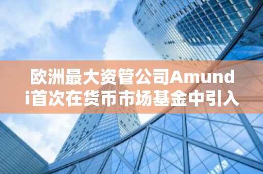 欧洲最大资管公司Amundi首次在货币市场基金中引入“代币化股票类别”