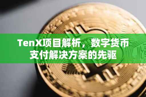 TenX项目解析，数字货币支付解决方案的先驱
