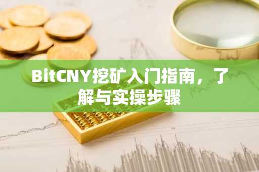 BitCNY挖矿入门指南，了解与实操步骤