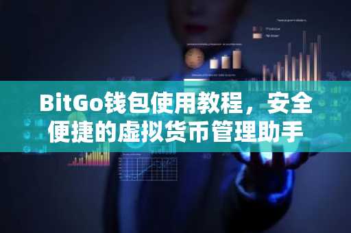 BitGo钱包使用教程，安全便捷的虚拟货币管理助手