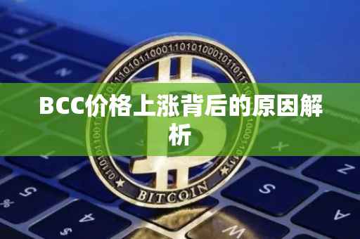 BCC价格上涨背后的原因解析