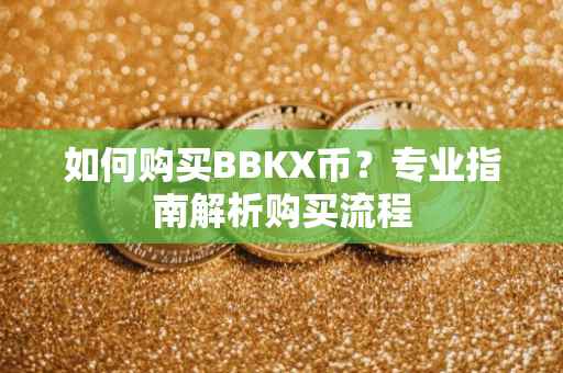 如何购买BBKX币？专业指南解析购买流程