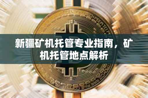 新疆矿机托管专业指南，矿机托管地点解析