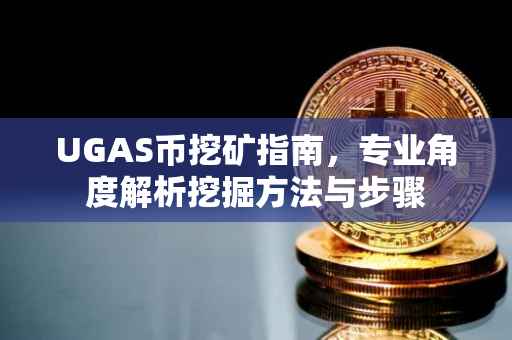 UGAS币挖矿指南，专业角度解析挖掘方法与步骤