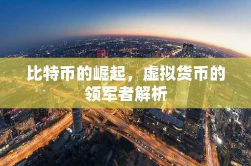 比特币的崛起，虚拟货币的领军者解析