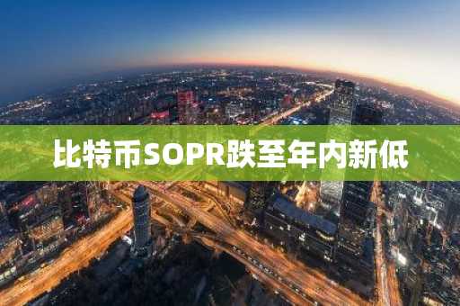 比特币SOPR跌至年内新低