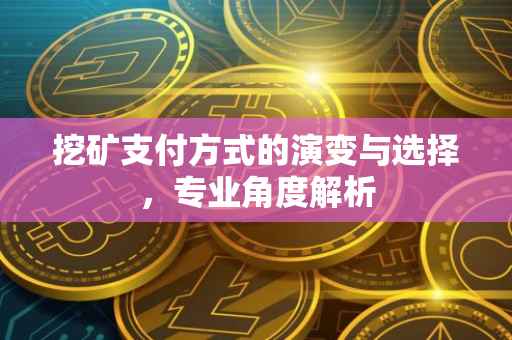 挖矿支付方式的演变与选择，专业角度解析