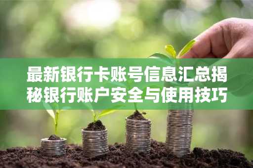 最新银行卡账号信息汇总揭秘银行账户安全与使用技巧