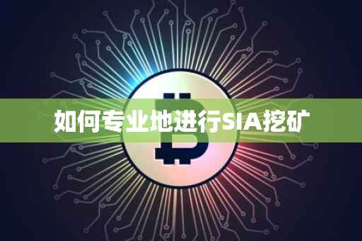 如何专业地进行SIA挖矿