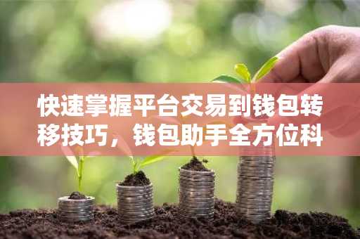快速掌握平台交易到钱包转移技巧，钱包助手全方位科普
