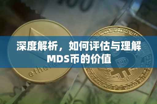 深度解析，如何评估与理解MDS币的价值