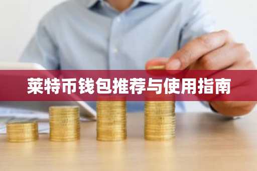 莱特币钱包推荐与使用指南