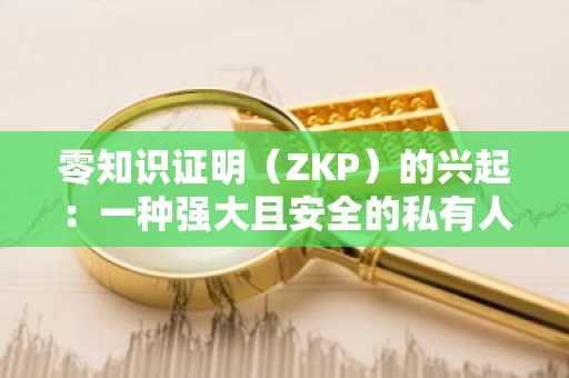 零知识证明（ZKP）的兴起：一种强大且安全的私有人工智能运行方式