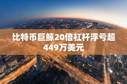 比特币巨鲸20倍杠杆浮亏超449万美元