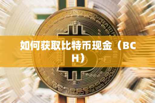 如何获取比特币现金（BCH）