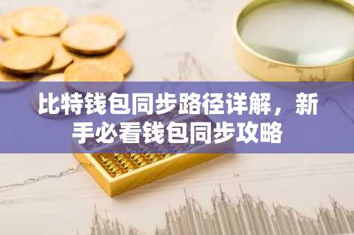比特钱包同步路径详解，新手必看钱包同步攻略