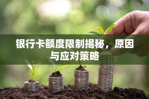 银行卡额度限制揭秘，原因与应对策略