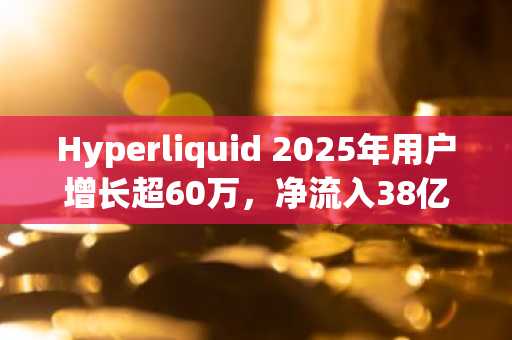 Hyperliquid 2025年用户增长超60万，净流入38亿美元