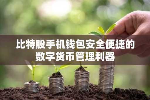 比特股手机钱包安全便捷的数字货币管理利器