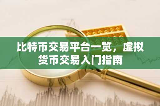 比特币交易平台一览，虚拟货币交易入门指南