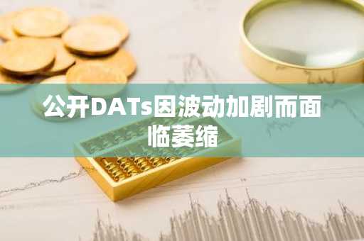 公开DATs因波动加剧而面临萎缩