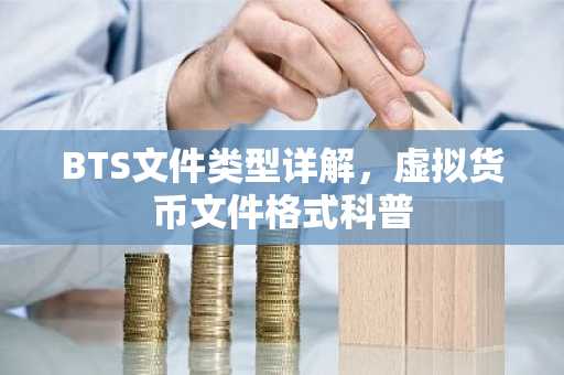 BTS文件类型详解，虚拟货币文件格式科普
