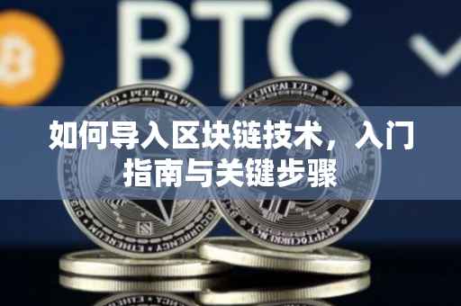如何导入区块链技术，入门指南与关键步骤