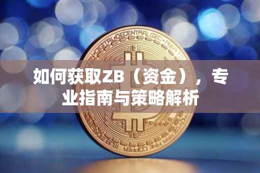 如何获取ZB（资金），专业指南与策略解析