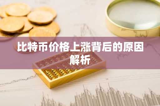 比特币价格上涨背后的原因解析