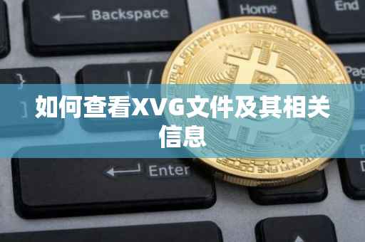 如何查看XVG文件及其相关信息