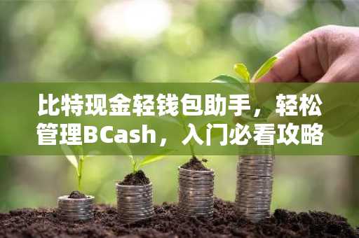 比特现金轻钱包助手，轻松管理BCash，入门必看攻略