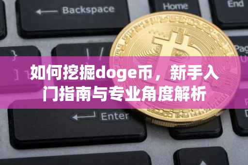 如何挖掘doge币，新手入门指南与专业角度解析