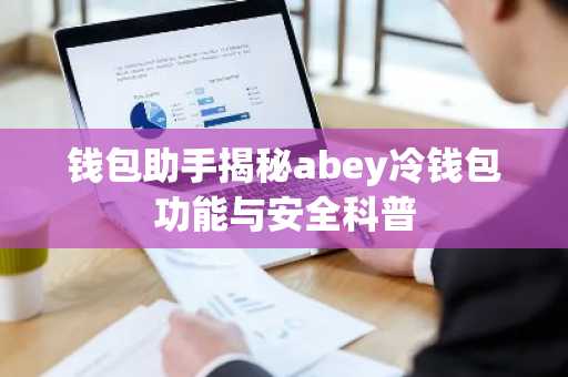 钱包助手揭秘abey冷钱包功能与安全科普