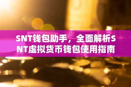 SNT钱包助手，全面解析SNT虚拟货币钱包使用指南