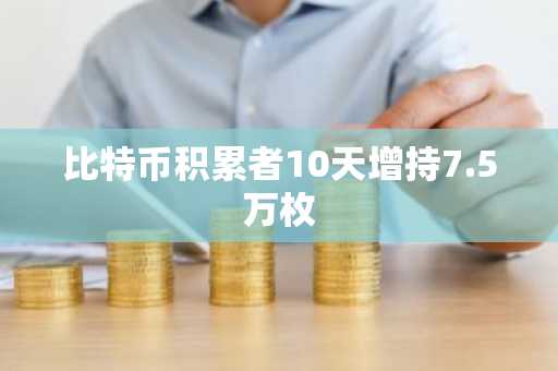 比特币积累者10天增持7.5万枚