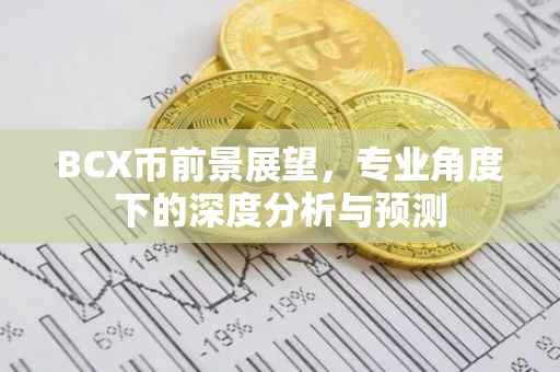 BCX币前景展望，专业角度下的深度分析与预测