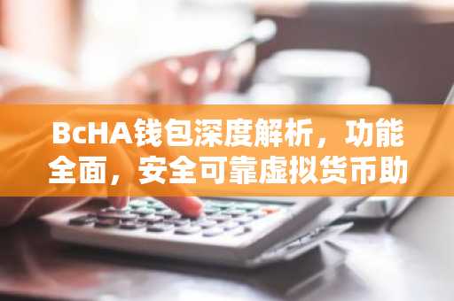 BcHA钱包深度解析，功能全面，安全可靠虚拟货币助手
