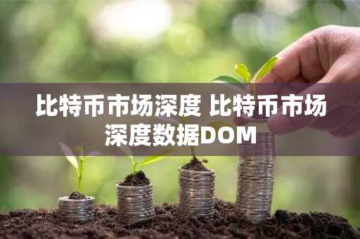 比特币市场深度 比特币市场深度数据DOM