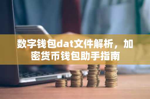 数字钱包dat文件解析，加密货币钱包助手指南