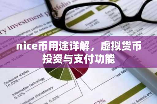 nice币用途详解，虚拟货币投资与支付功能
