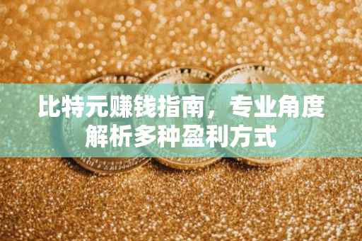 比特元赚钱指南，专业角度解析多种盈利方式