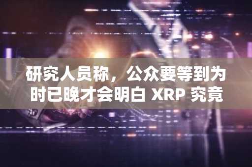 研究人员称，公众要等到为时已晚才会明白 XRP 究竟发生了什么