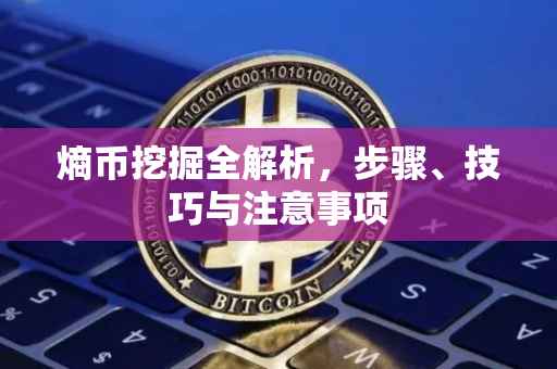 熵币挖掘全解析，步骤、技巧与注意事项