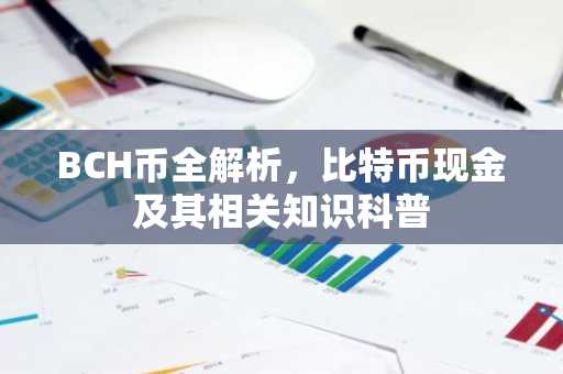 BCH币全解析，比特币现金及其相关知识科普