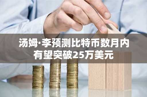 汤姆·李预测比特币数月内有望突破25万美元