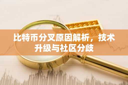 比特币分叉原因解析，技术升级与社区分歧