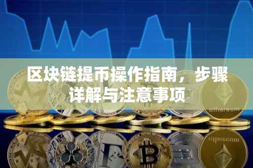 区块链提币操作指南，步骤详解与注意事项