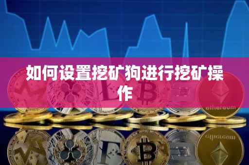 如何设置挖矿狗进行挖矿操作
