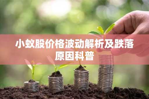 小蚁股价格波动解析及跌落原因科普