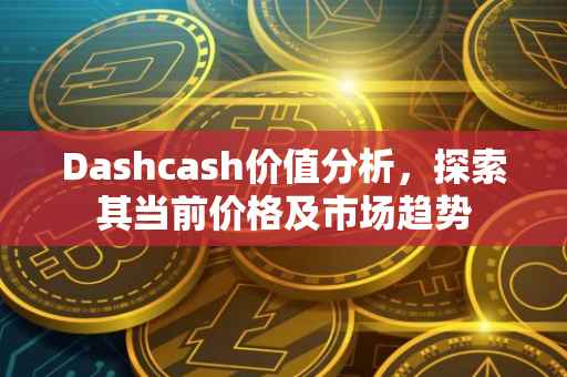 Dashcash价值分析，探索其当前价格及市场趋势